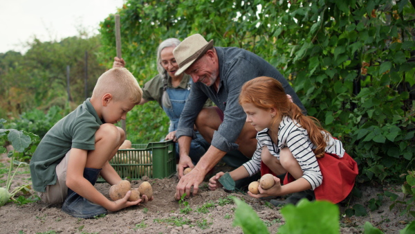 Grandparents with grandchildren working in a garden together.