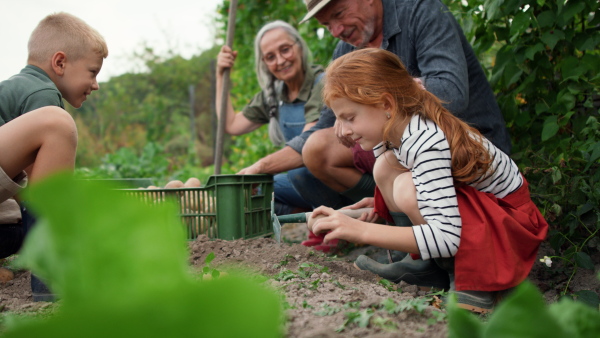 Grandparents with grandchildren working in a garden together.