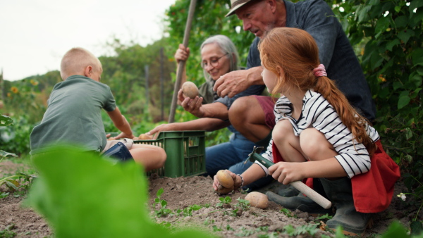 Grandparents with grandchildren working in a garden together.