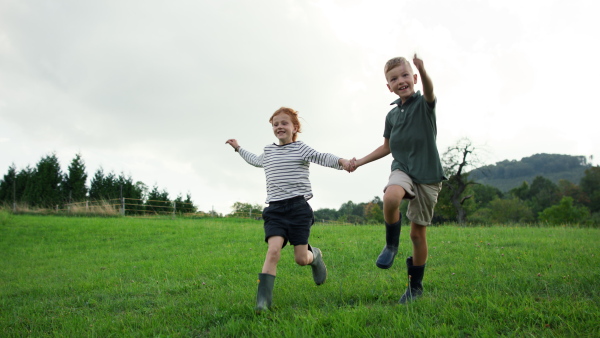 A little girl and boy holding hands and running on meadow in summer.