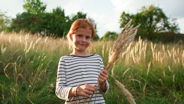 A little girl in summer in meadow hodling grass and looking at camera.