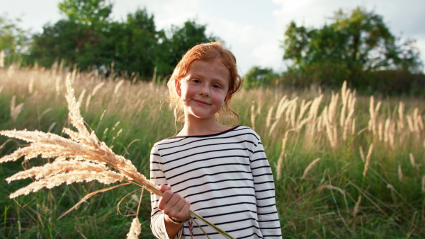 A little girl in summer in meadow hodling grass and looking at camera.