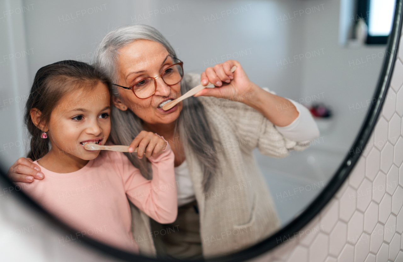 A senior grandmother and granddaughter standing indoors in bathroom, brushing teeth in morning.