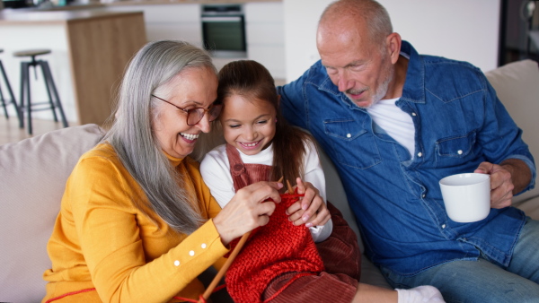 A grandmother sitting on sofa and teaching her granddaughter how to knit indoors at home.