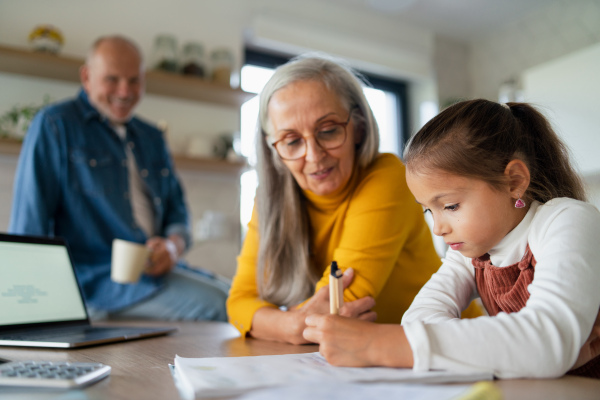 A small girl with senior grandparents doing maths homework at home.