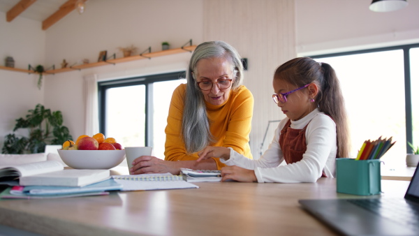 A small girl with senior grandmother doing maths homework at home.