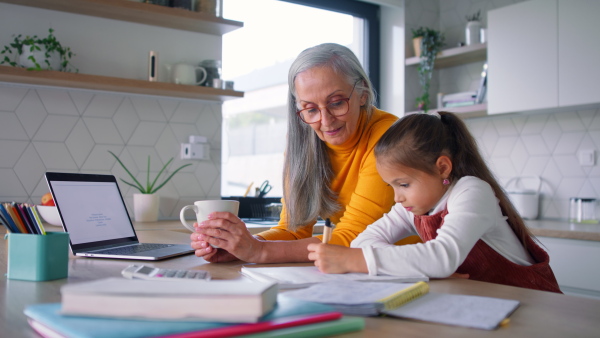 A small girl with senior grandmother doing maths homework at home.