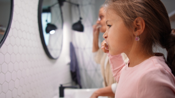 A little girl brushing teeth in bathroom at home in morning, together with her senior grandmother.