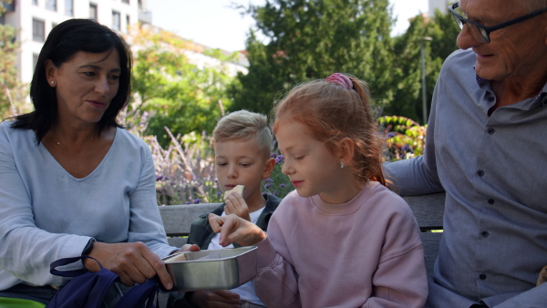 Happy grandparents sitting with grandchildren on a bench in park and having snack