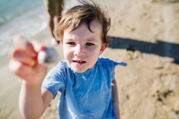 A portrait of happy small girl standing outdoors on sand beach.