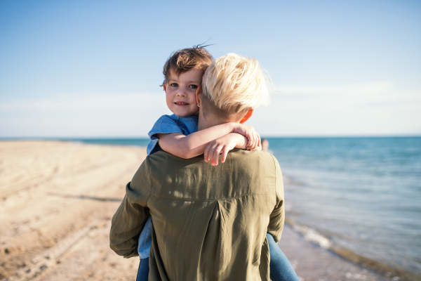 A rear view of young mother with small daughter walking outdoors on beach.