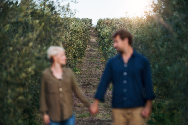 Young couple walking outdoors in olive orchard, looking at each other and holding hands.