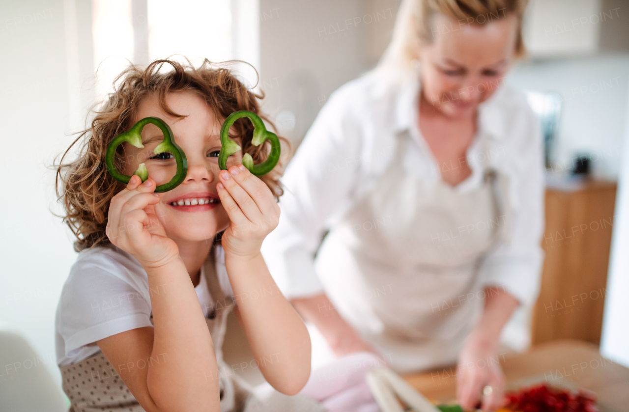 A portrait of happy small girl with grandmother preparing vegetable salad at home, having fun.