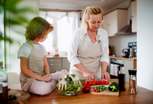 A portrait of small girl with grandmother in a kitchen at home, preparing vegetable salad.