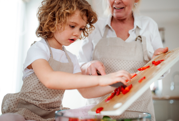 A portrait of small girl with grandmother in a kitchen at home, preparing vegetable salad.