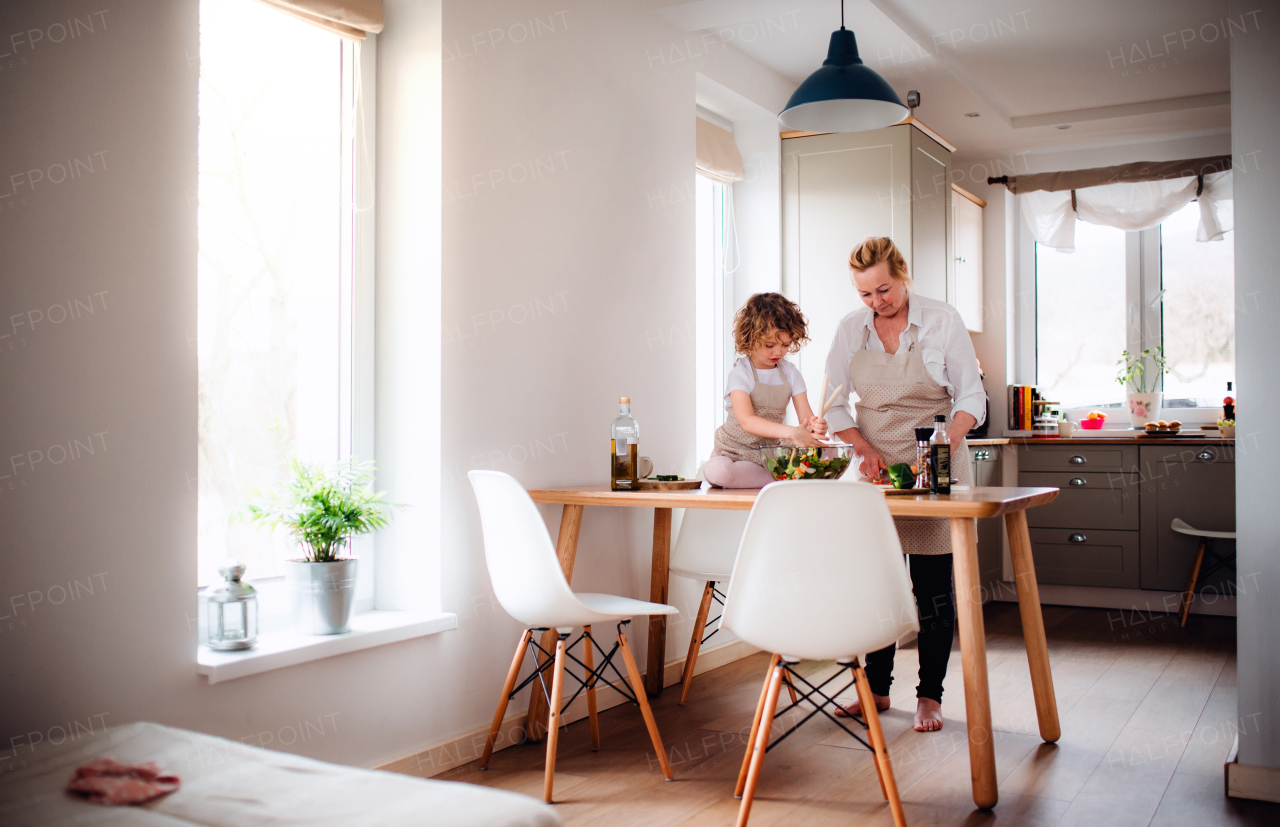 A portrait of small girl with grandmother in a kitchen at home, preparing vegetable salad.