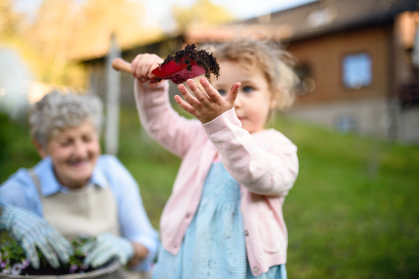 Happy small girl with senior granddaughter gardening outdoors in summer.