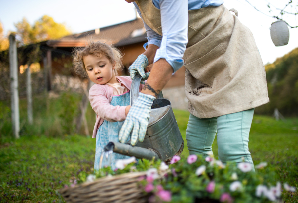 Unrecognizable senior grandmother with small granddaughter gardening outdoors in summer.