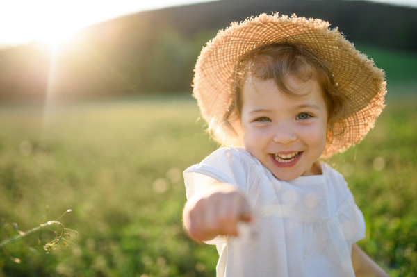 Portrait of small toddler girl standing on meadow outdoors in summer, looking at camera.