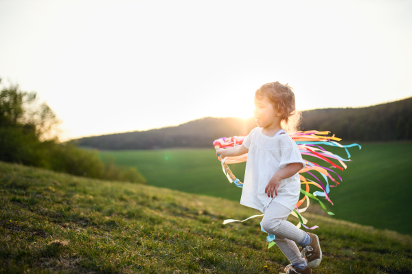 Small toddler girl playing on meadow outdoors in summer at sunset. Copy space.