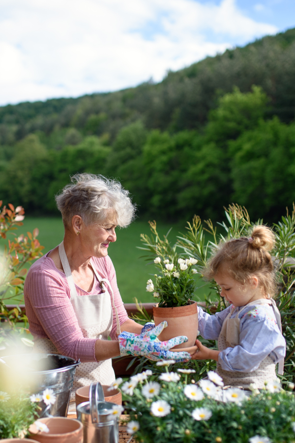 Happy senior grandmother with small granddaughter gardening on balcony in summer.