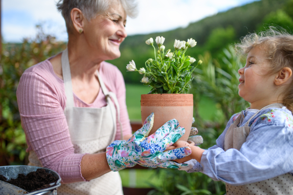 Happy senior grandmother with small granddaughter gardening on balcony in summer.