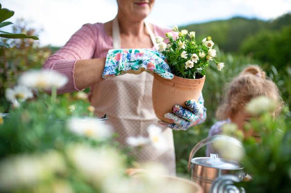 Unrecognizable senior grandmother with small granddaughter gardening on balcony in summer.