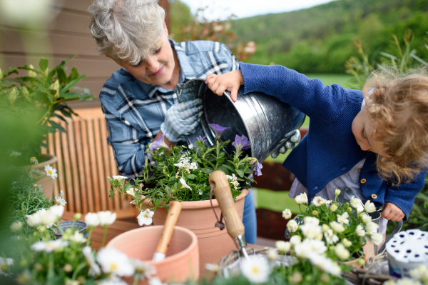 Happy senior grandmother with small granddaughter gardening on balcony in summer.