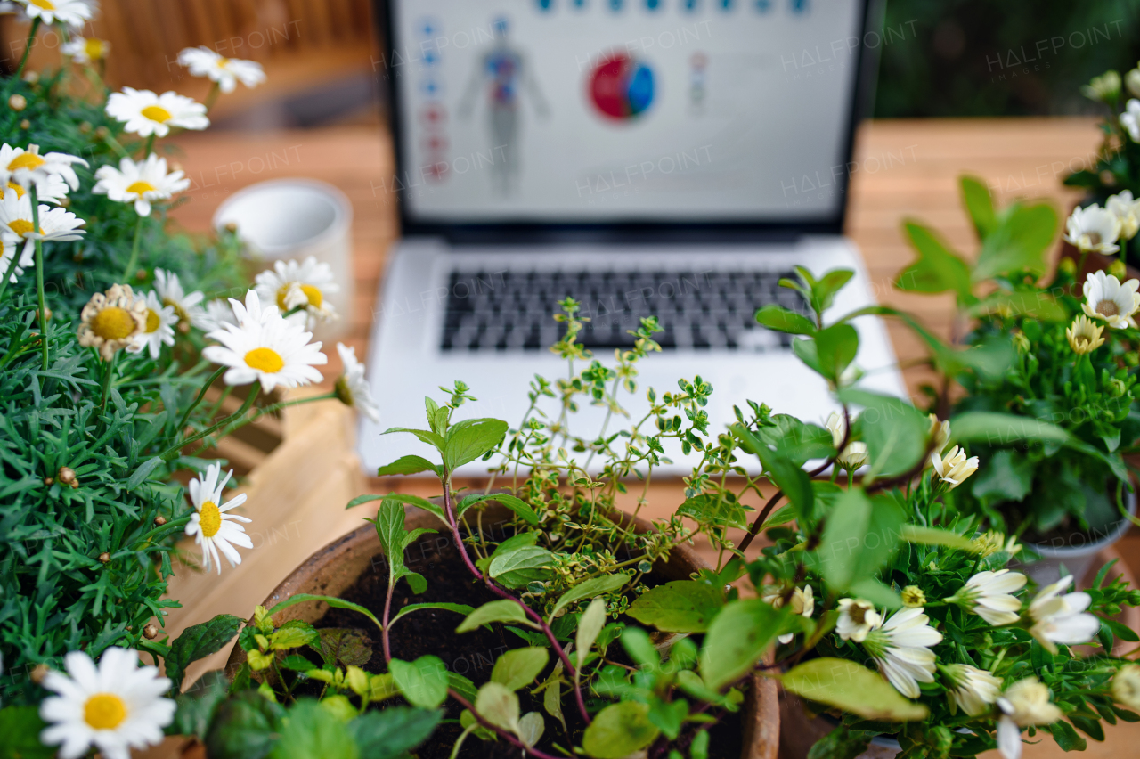 Top view of laptop and coffee on table on balcony in summer, outdoors office concept.