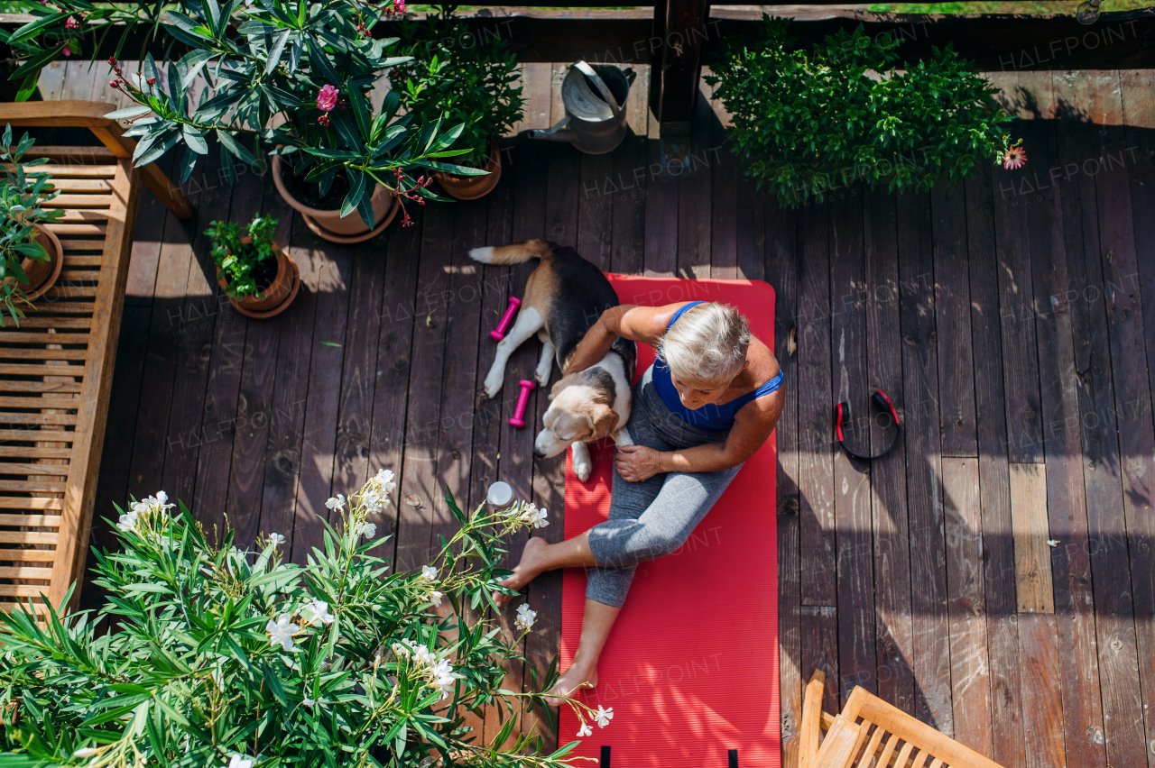 A top view of senior woman with dog outdoors on a terrace in summer, doing exercise on mat.