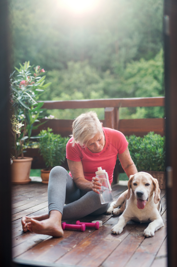 A senior woman with dog outdoors on a terrace in summer, resting after exercise.