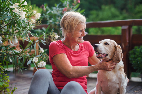 A senior woman with dog outdoors on a terrace in summer, resting after exercise.