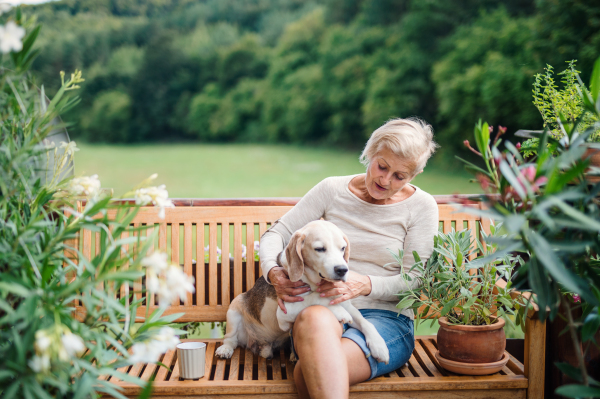 A senior woman with a dog sitting outdoors on a terrace on sunny day in summer, resting.