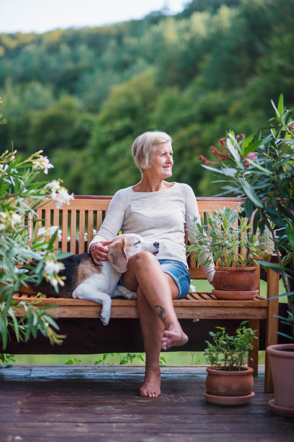 A senior woman with a dog sitting outdoors on a terrace on sunny day in summer, resting.