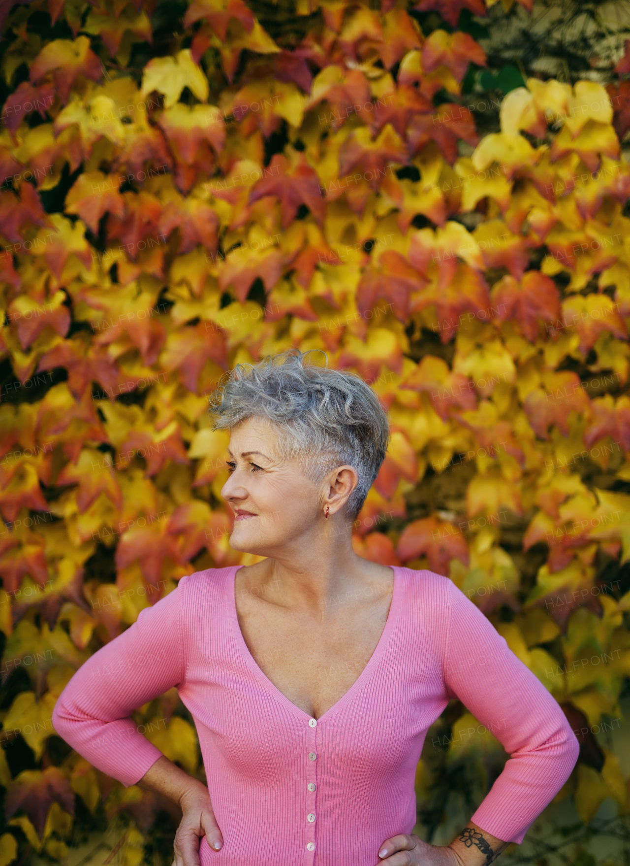 Portrait of senior woman standing outdoors against colorful natural autumn background, resting.