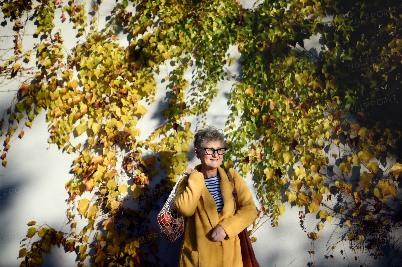 Portrait of senior woman standing outdoors against colorful natural autumn background, holding shopping.