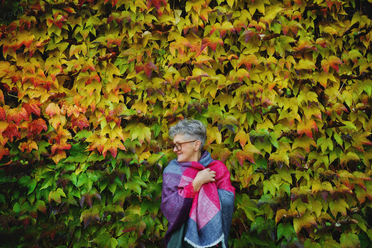 Portrait of senior woman standing outdoors against colorful natural autumn background.