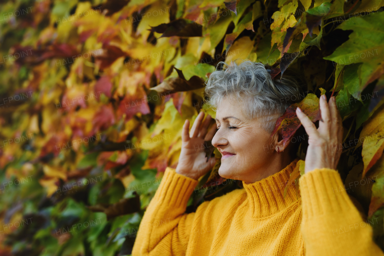 Portrait of senior woman standing outdoors against colorful natural autumn background, eyes closed.