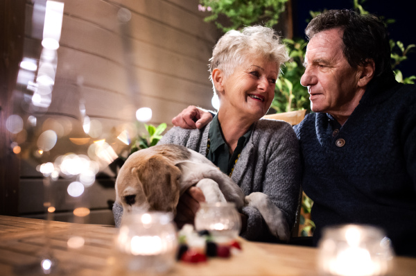 Portrait of senior couple with dog in the evening on terrace, talking.