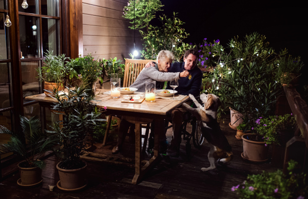 Happy senior couple in wheelchair having dinner in the evening on terrace, feeding dog.