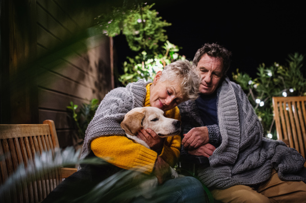 Portrait of senior couple in wheelchair with dog in the evening on terrace, relaxing.