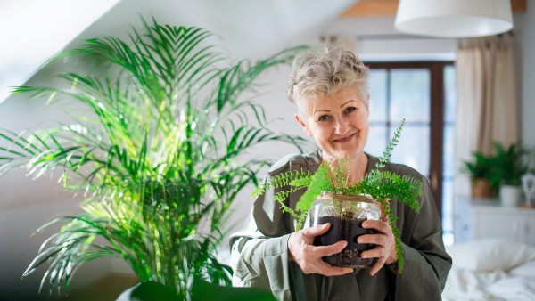 Portrait of happy senior woman looking after potted plants at home, looking at camera.