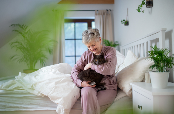 Portriat of happy senior woman with cat resting in bed at home.