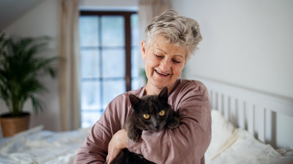 Portriat of happy senior woman with cat resting in bed at home.