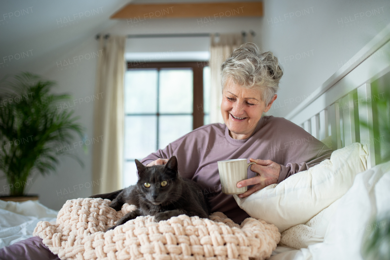 Portriat of happy senior woman with cat resting in bed at home.