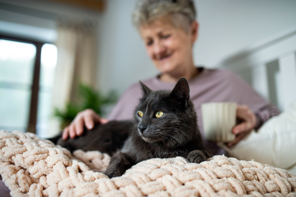 Portriat of happy senior woman with cat resting in bed at home.