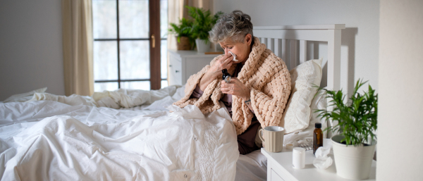 A sick senior woman in bed at home, sneezing and taking medication.