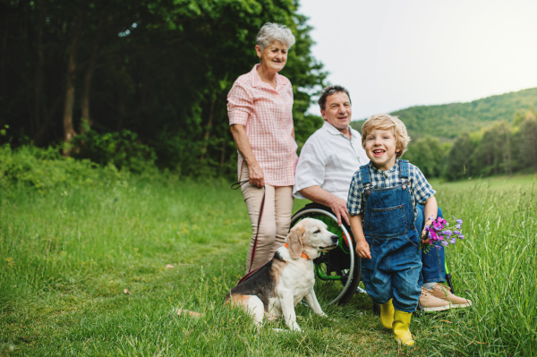 Small boy with senior grandparents in wheelchair and dog on a walk on meadow in nature.