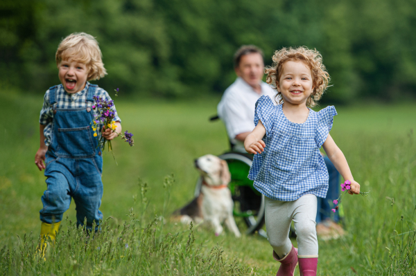 Running small children with senior grandfather in wheelchair and dog on a walk on meadow in nature.