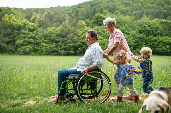 Small children with senior grandparents in wheelchair and dog on a walk on meadow in nature.